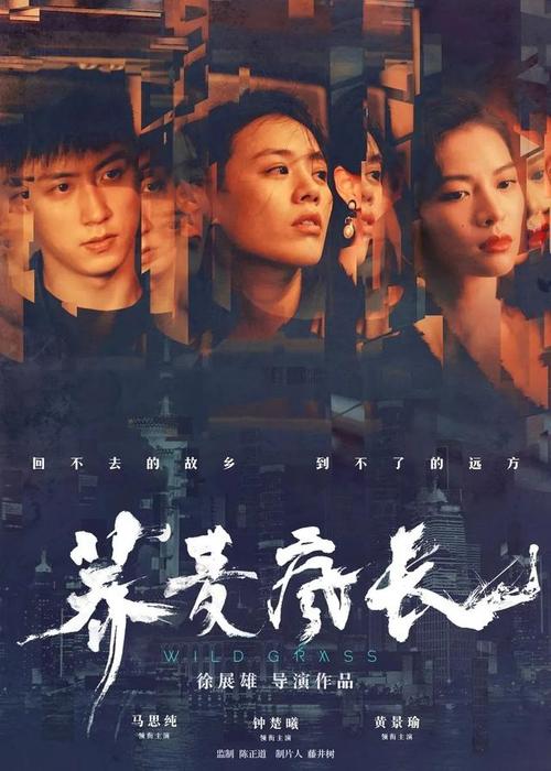 本科生没有学位证能考公务员吗